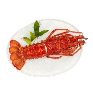 buy-whole-frozen-nz-crayfish-online__67147
