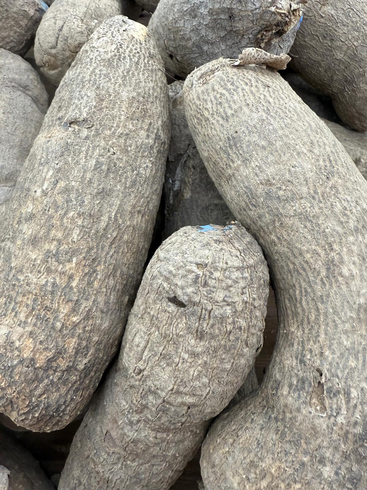 Yam