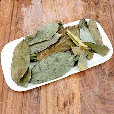 Choice Tropical Dried Soursop Leaves (Corossol, Guyana) 0.5oz