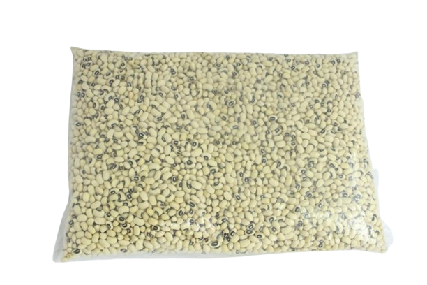 JTC Bless White Beans