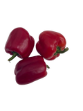 Red Bell Pepper