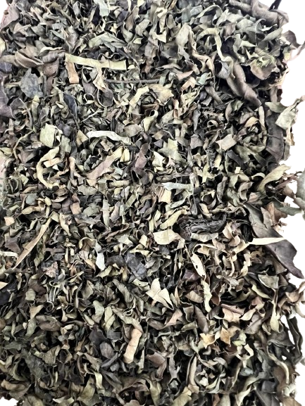JTC Bless Attama Leaf