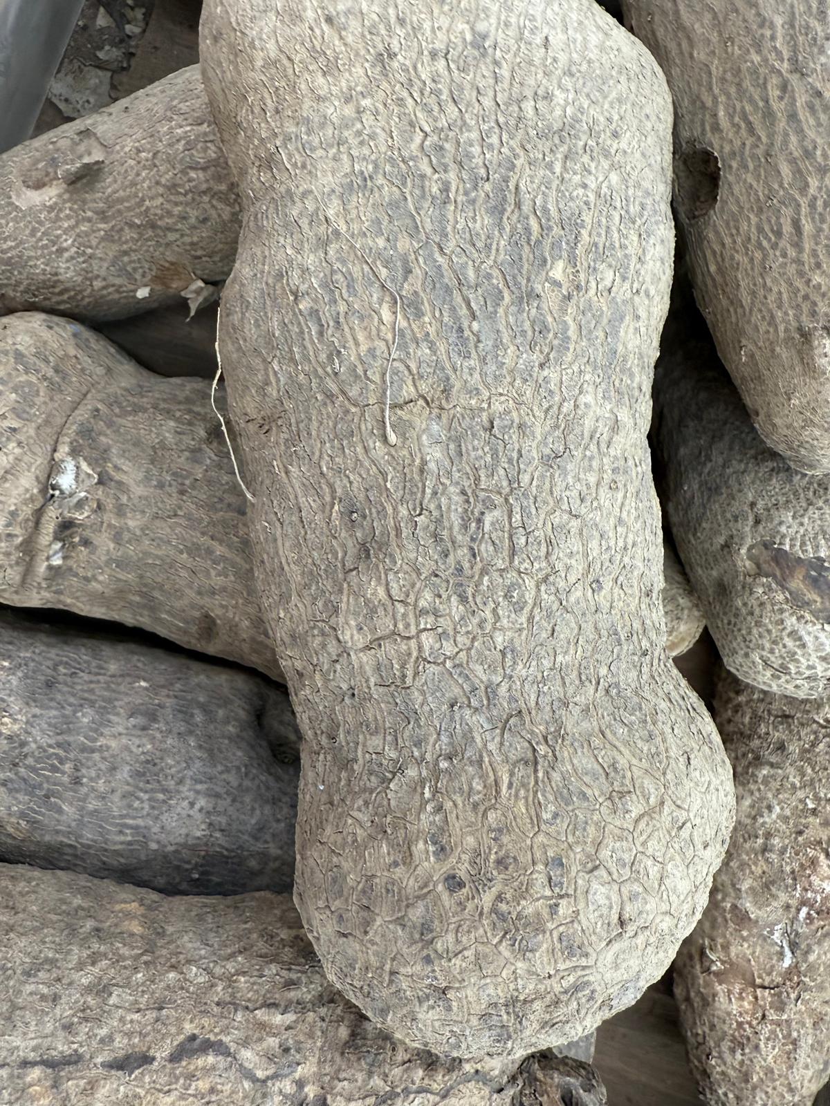 Yam