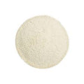 JTC Bless White Garri