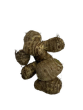 Taro Root Cocoyam (EDE) ( 2 Ibs)