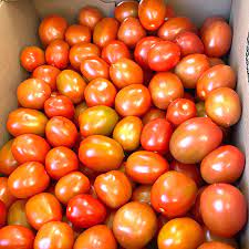 Tomatoes