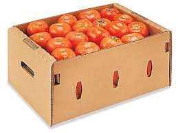 Tomatoes