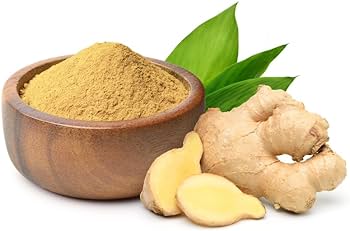 Thx Ginger Pure Ground 8.46 oz (240g)