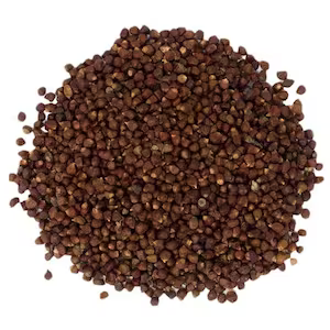 Nina Intl Red Wesa Alligator Pepper Seed 1Oz, 5g