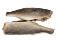 Fresh Croaker Fish
