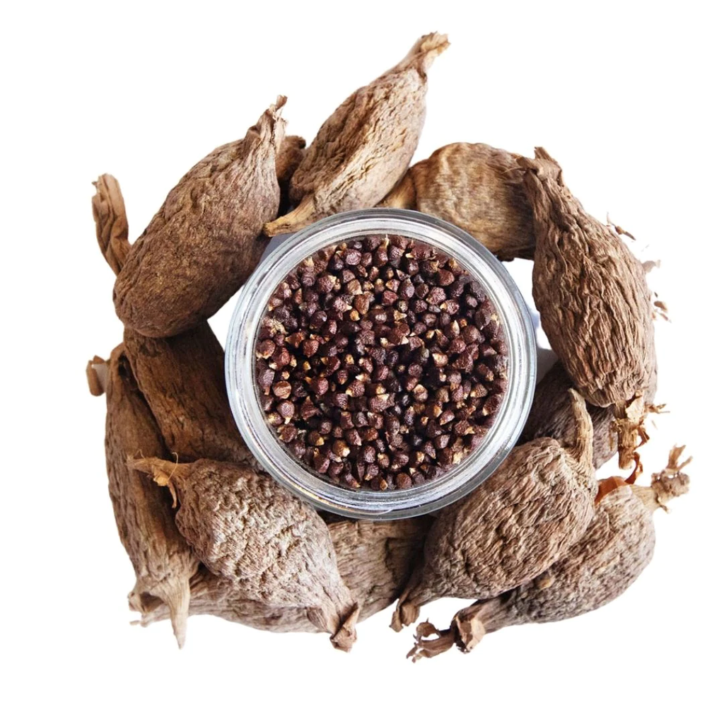 Nina Intl Red Wesa Alligator Pepper Seed 1Oz, 5g