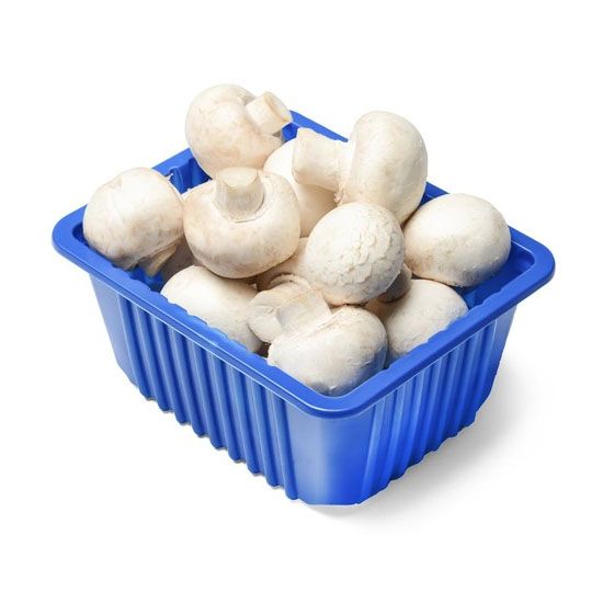 Fresh Mashroom / Mayebo Pack