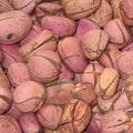 Cola Nut / Makassu (3 Count)