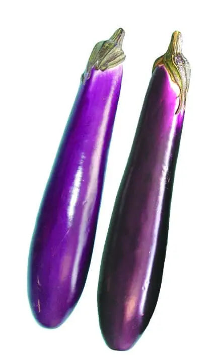Purple Egg Plant ( 2 Pc In Pack)