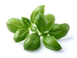 Gel Basil Leaves 3.6 Oz, 102g