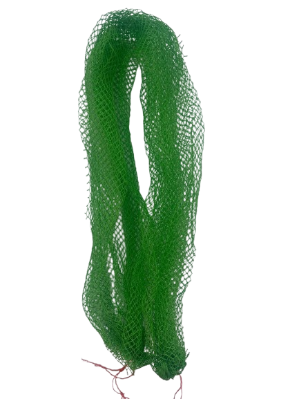 Long Sponge