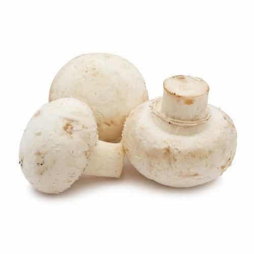 Fresh Mashroom / Mayebo Pack