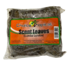 Choice tropical scent leaves