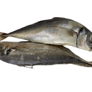 Fresh Mackerel Fish