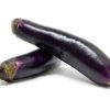 Purple Egg Plant