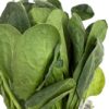 Fresh spinach